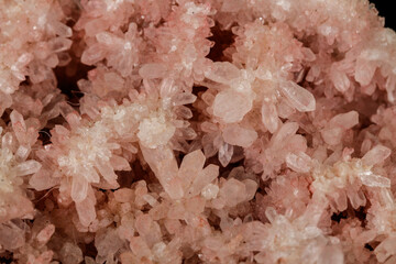 Macro stone mineral pink quartz amethyst on a black background