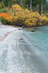 ニュージーランド　秋のクイーンズタウン郊外のウィルソン・ベイのビーチと紅葉で色づいた木々
