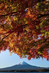 河口湖の富士山と紅葉