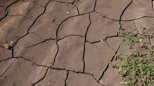 Brown drought dry land soil, cracked ground texture agriculture barren, warming