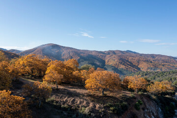 vista aérea del bosque de cobre en el valle del Genal, Andalucía