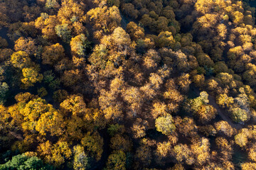 vista aérea del bosque de cobre en el valle del Genal, Andalucía