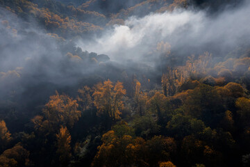 Fototapeta premium vista aérea del bosque de cobre en el valle del Genal, Andalucía 