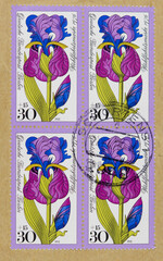 briefmarke stamp vintage retro alt old gestempelt used frankiert cancel papier paper lila purple flower blume Schortens Iris 30