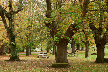 Naklejka premium Park of the Sanctuary of Our Lady of the Encina at fall