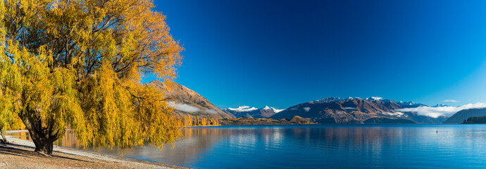 ニュージーランド　オタゴ地方のワナカ湖の湖畔の紅葉で黄色に染まった木々とロイ山と南アルプス山脈のアルタ山