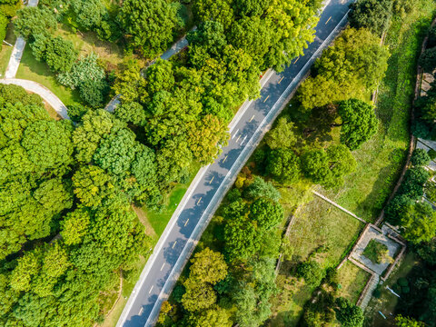 Aerial photography outdoor forest road