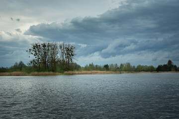Trees on the shore of the lake and the cloudy sky, Stankow, Poland