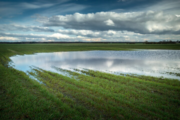 A huge puddle of rainfall in the farmland, Czulczyce, Poland
