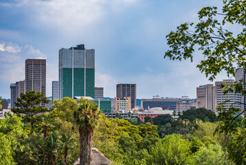 Obraz premium View of Pretoria city through trees during a summer afternoon