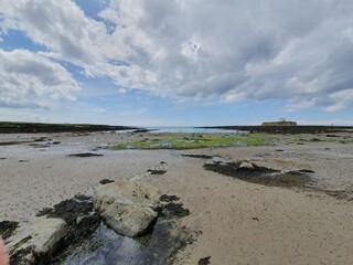 beach and sea