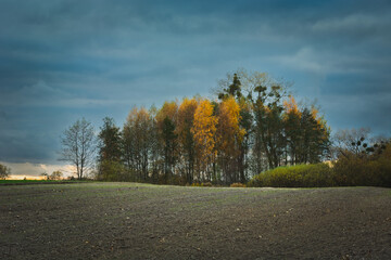 Fototapeta premium Plowed field and autumn trees on a cloudy day