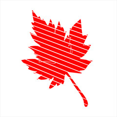 Obraz premium Maple leaves graphic solution.image on a white and colored background.Vector.