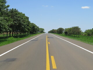 Fototapeta premium road in the countryside