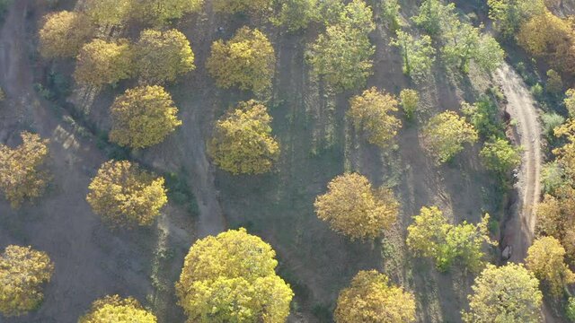 hermoso valle del genal en la estaci&oacute;n del oto&ntilde;o, Andaluc&iacute;a