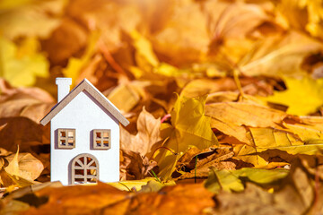 The symbol of the house stands among the fallen autumn leaves
