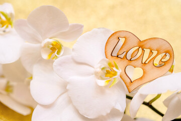 Symbol of love and a white Orchid on a gold background
