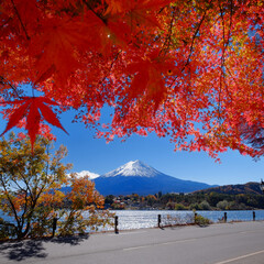 富士山と紅葉　河口湖より　2021年秋
