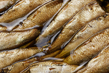 Food background vitamin A omega, fish canned smoked sprats in oil close-up top view - obrazy, fototapety, plakaty