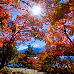 富士山と紅葉　河口湖より　2021年秋