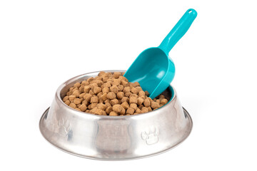 Delicious dog food and bowl of quality food, delicious and healthy