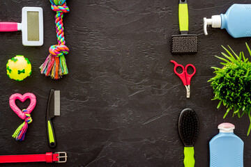 Grooming tools and pet accessories with toys, top view