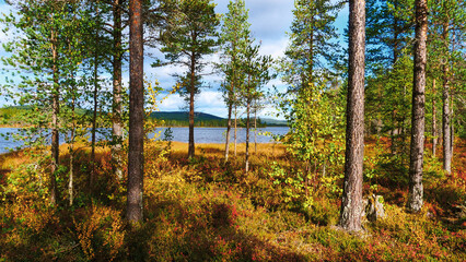 view on lake in nordic autumn landscape 