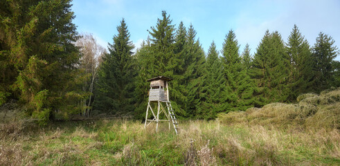 Panoramic view of a a forest with wooden deer and wild boar hunting tower.