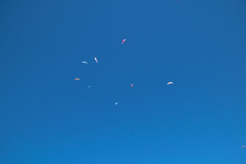Paragliding in Tamborine Mountain, Queensland, Australia
