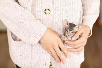 A bald kitten sits in the pocket of a knitted jacket , the hands of the man are holding the kid