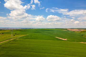 Aerial landscape view of green cultivated agricultural fields with growing crops on bright summer day