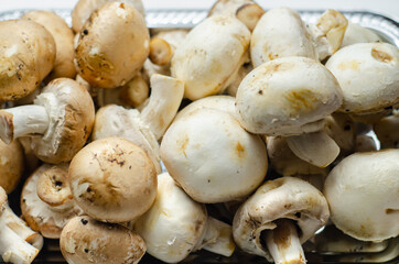 Portobello and white mushrooms on a silver plate, vegetables from an organic farm
