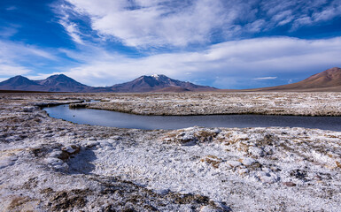 Colores del Salar de Surire. Altiplano chileno, regi&oacute;n de Arica y Parinacota.