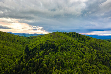 Fototapeta na wymiar Aerial view of dark mountain hills covered with green mixed pine and lush forest in evening
