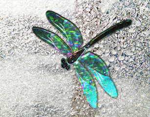 Beautiful glass dragonfly with effect of holography on frozen window