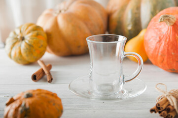 Empty cup on background of pumpkins. Pumpkin autumn warming drink close-up and copy space..