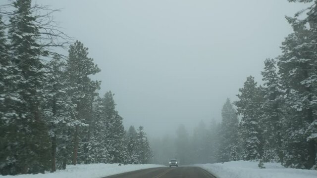 Snow and fog in wintry forest, driving auto, road trip in winter Utah USA. Coniferous pine trees, mystery view thru car windshield. Misty Bryce Canyon woodland. Calm atmosphere, milky haze in wood.