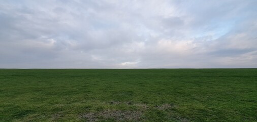field and cloudy sky