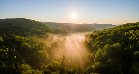 Vibrant foggy evening over dark forest trees at bright summer sunset. Amazingl scenery of wild woodland at dusk