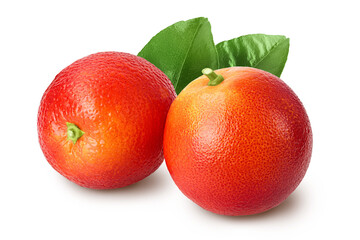 Blood red oranges isolated on white background with clipping path and full depth of field