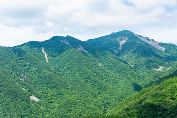 Obraz premium 夏の山