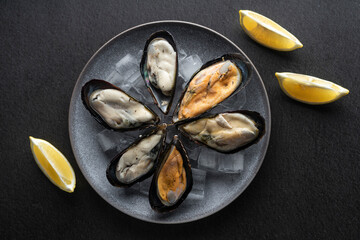 mussels freshly frozen on a plate with ice, on a dark background, copyspace. Expensive delicacy
