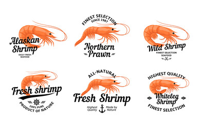 Vector shrimp logo and design elements, label templates and prawn icons