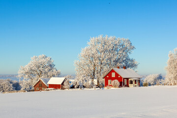 Farm in a beautiful winter landscape - obrazy, fototapety, plakaty