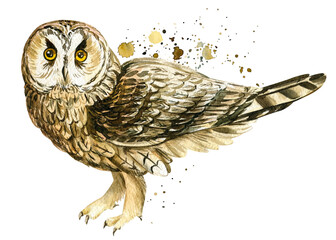 Cute Owl and paint splatter, on an isolated white background, watercolor painting. Forest bird