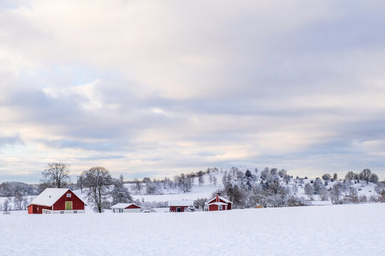 Rural landscape view with a farm in the winter