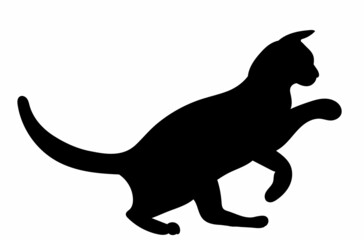 cat, black silhouette vector, isolated, icon