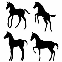 foals, black silhouette vector, isolated
