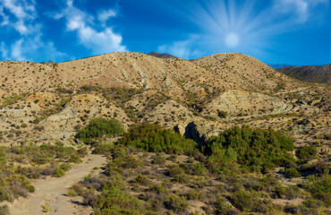 Desert landscape