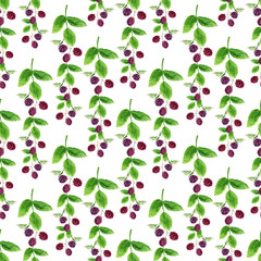 Watercolor seamless pattern with twigs, fruits and leaves of blackberries and raspberries